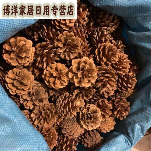 一个什么的松果填空