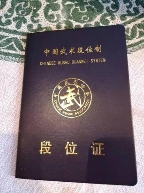 武术哪些段位可网上查询