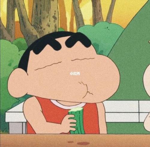 蜡笔小新开往尽头是哪一季