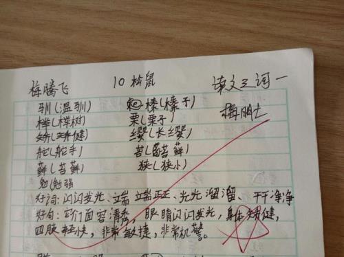 僵的组词好词