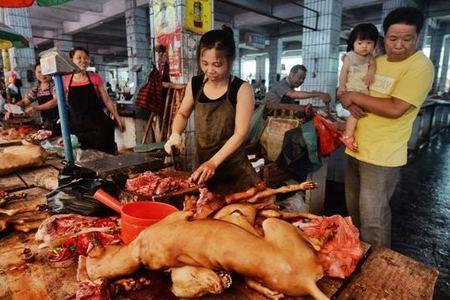 狗肉和什么肉相似
