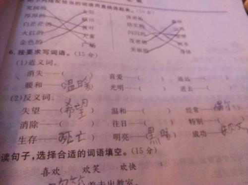 到处近义词最佳答案