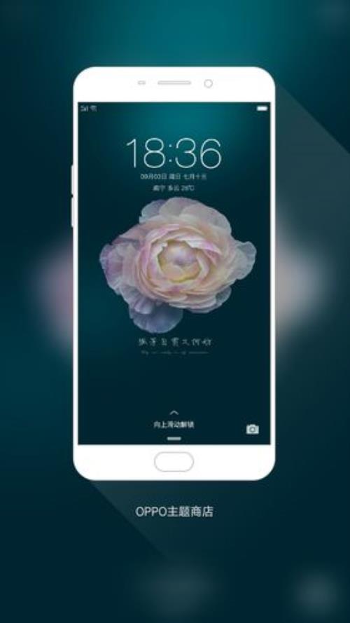 oppo哪个主题好看