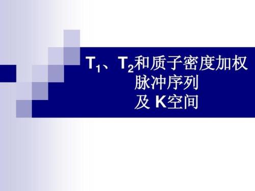 t1和t2记忆体哪个强