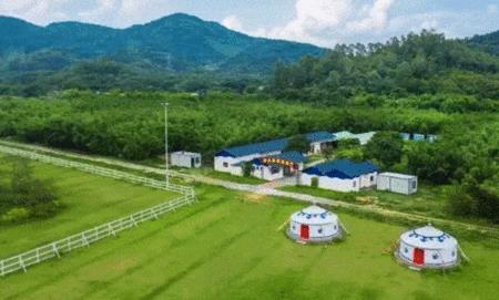 世界农场之旅新农场有多少个