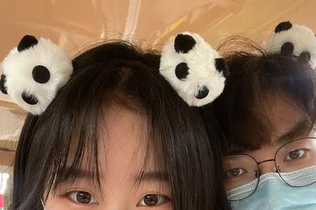 什么是课设恋