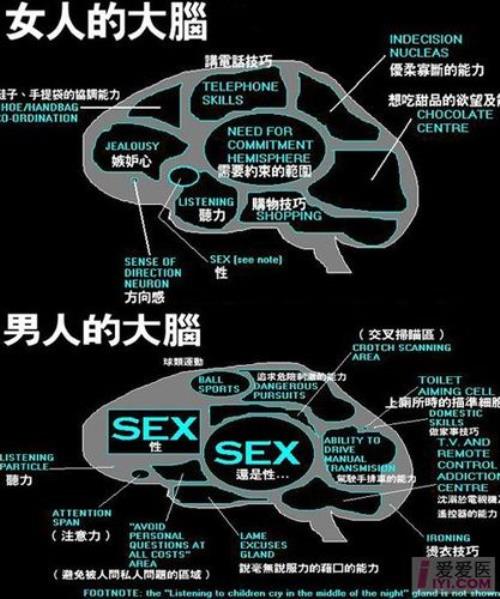 心智构建有什么用