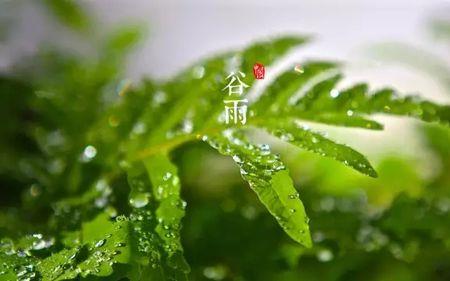 谷雨过后还有霜冻吗