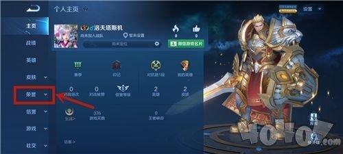 王者7周年称号