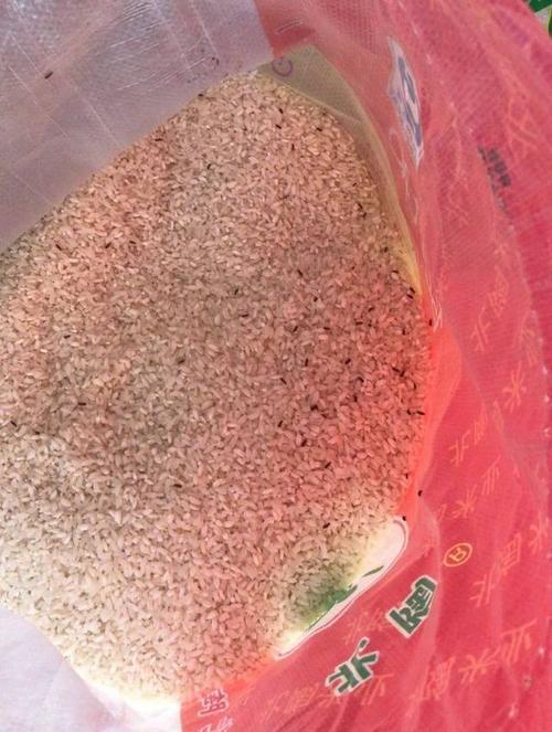 大米出现霉变前兆时的温度