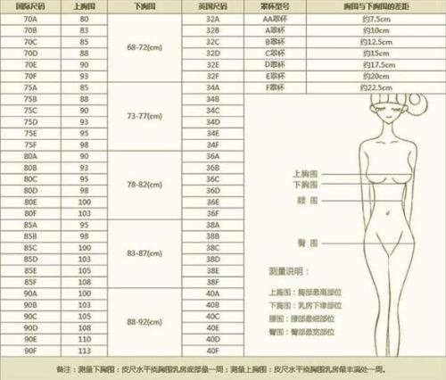 下胸围95上胸围107穿多大码