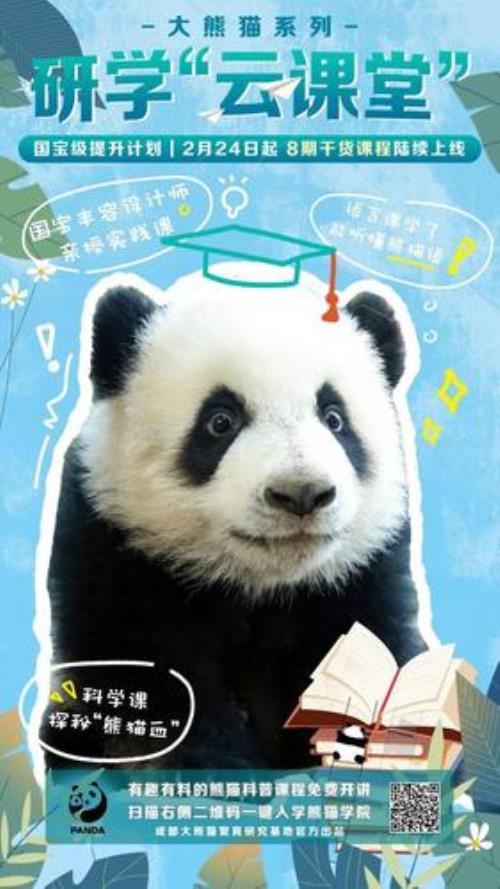 国宝小花怎么不更新了