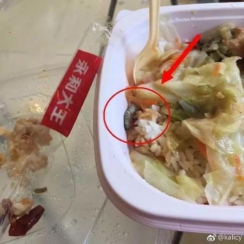 吃外卖吃到虫子有事吗