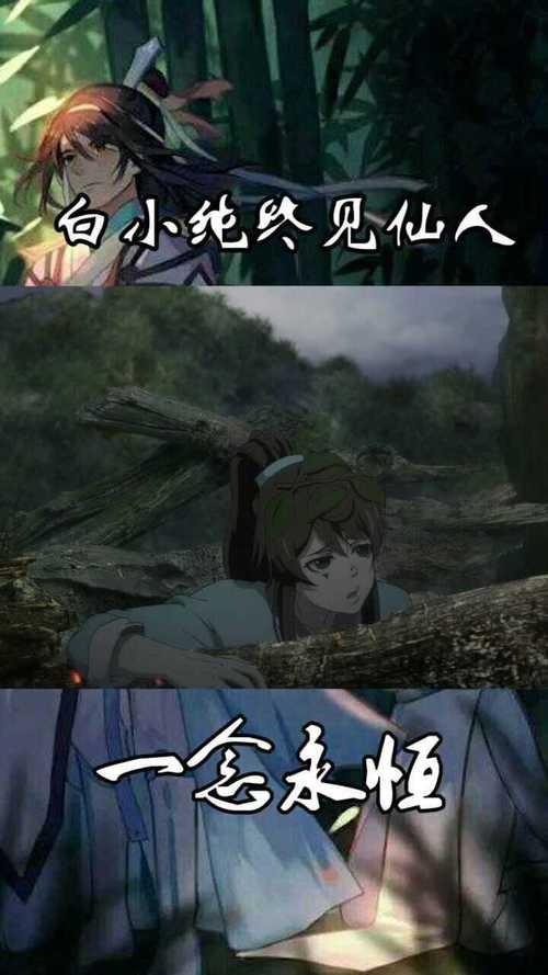 在三寸人间中 白小纯出现多少次