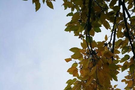 淅淅沥沥的等待什么歌