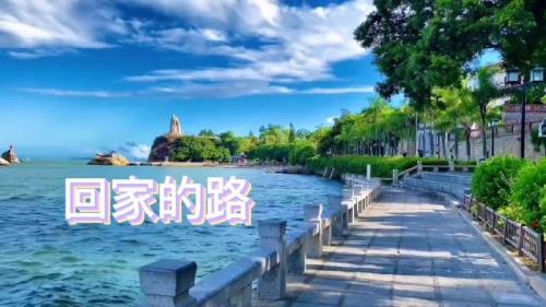 回家的路很长是什么歌