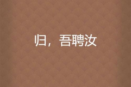 吾愿倾国以聘什么意思