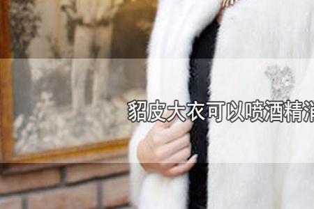皮衣喷上酒精怎么办