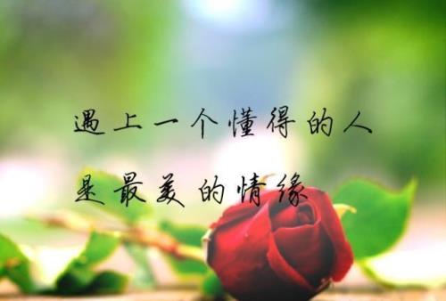 伤你的人叫你别伤心的句子