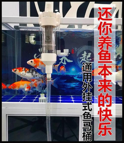 过滤器把小鱼苗吸走了怎么办