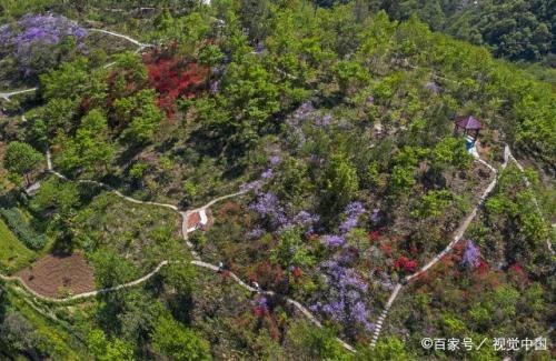 满山遍野鲜花盛开七律