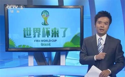 2010世界杯央视解说员都有谁