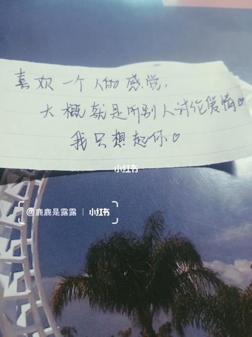 女人喜欢一个男人的表现文案