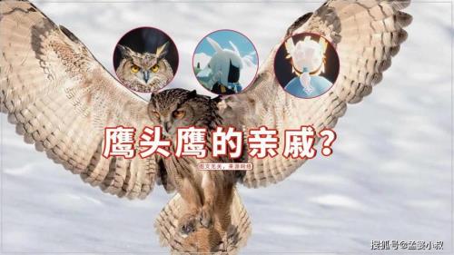 白鸟是哪个季节的毕业头饰