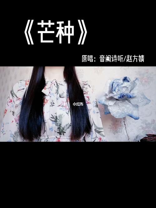芒种歌曲原唱是谁
