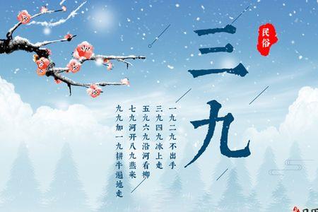 什么是四九