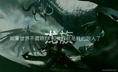 龙族一共多少字