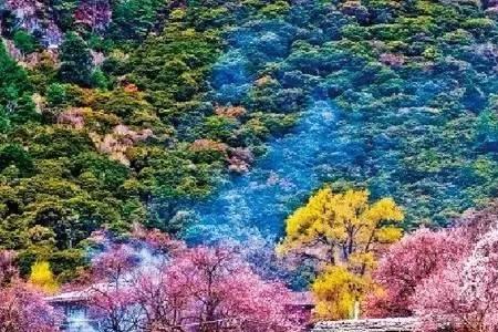 林芝适合定居吗