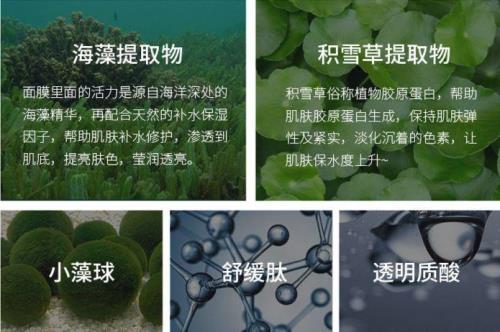 海藻生存高度