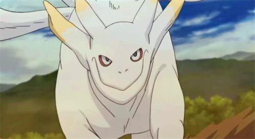 斑吸收九只尾兽多少集