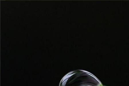 露水前面填一个字