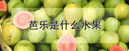 芭乐什么时候环剥
