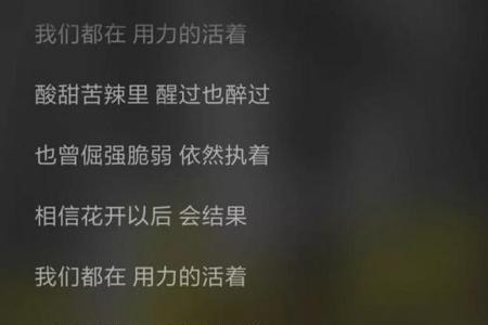 歌词有青丝白发那首歌