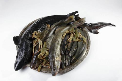 海底鲟怎么料理