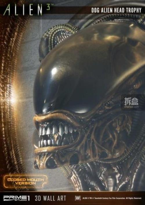 异形3氮气多大
