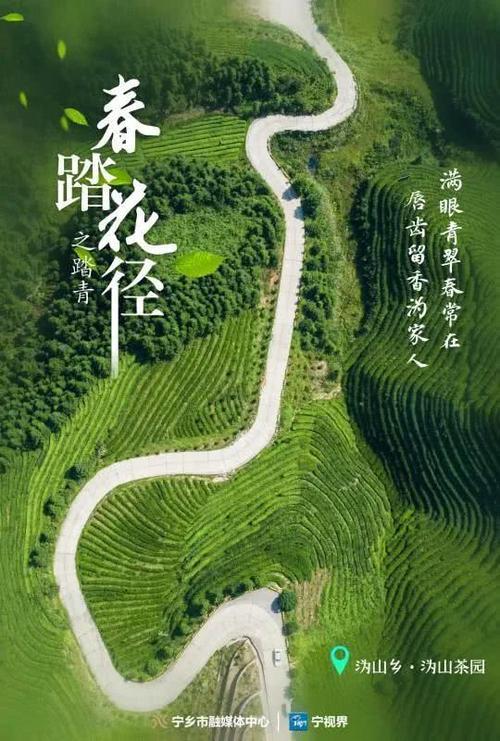 三月踏青发朋友圈的句子