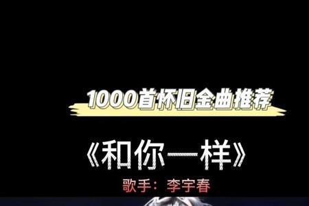 和你一样坚强的歌名