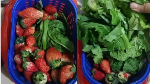 为什么看拼多多视频是绿色的