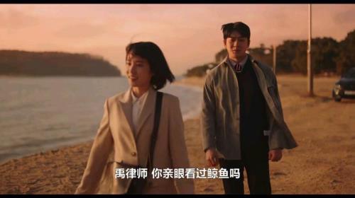 非常律师禹英瑀为什么喜欢鲸鱼