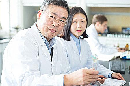 什么是化学人