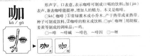 译音字是什么