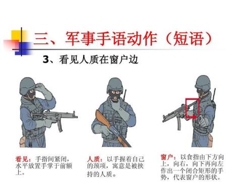 人质是什么含义