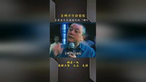 王朔的犀利言论