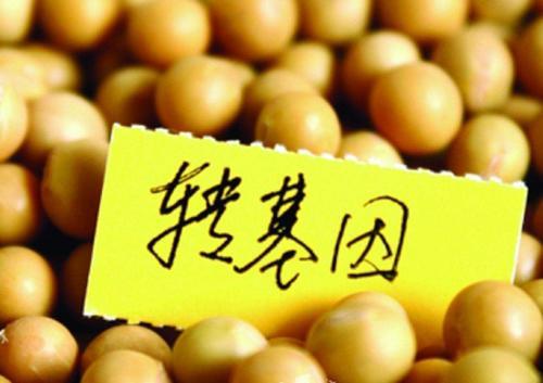 转基因种子怎样做出来的
