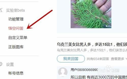 悟空问答入口