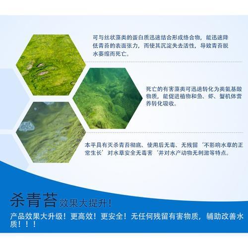 哪里可以找到青苔丝藻